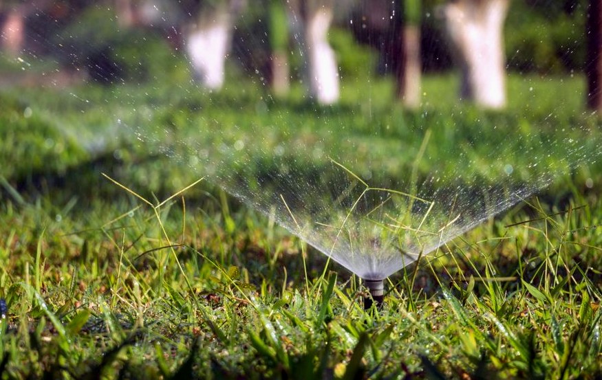 Example of irrigation & sprinkler repair work